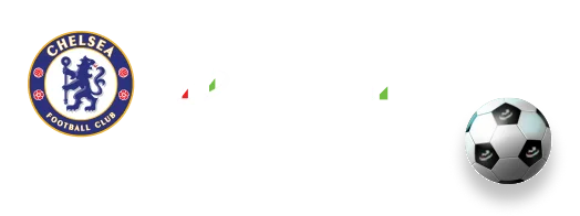 TMGM官网 中国官方网站